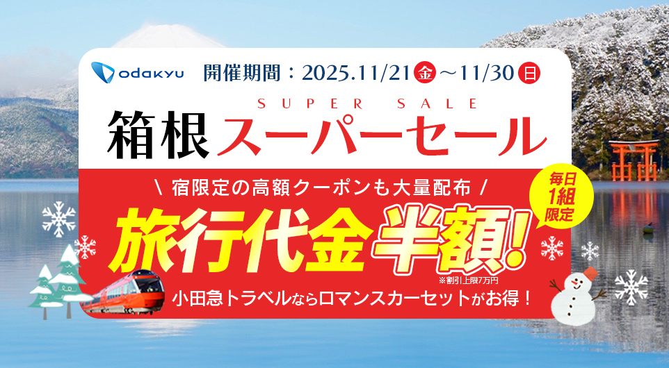 休日値引き　パイトーチトラベル トラベルイクイップメント パッカブル ボストン バッグ Sサイズ