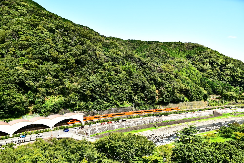 22496214_l_0.jpg
