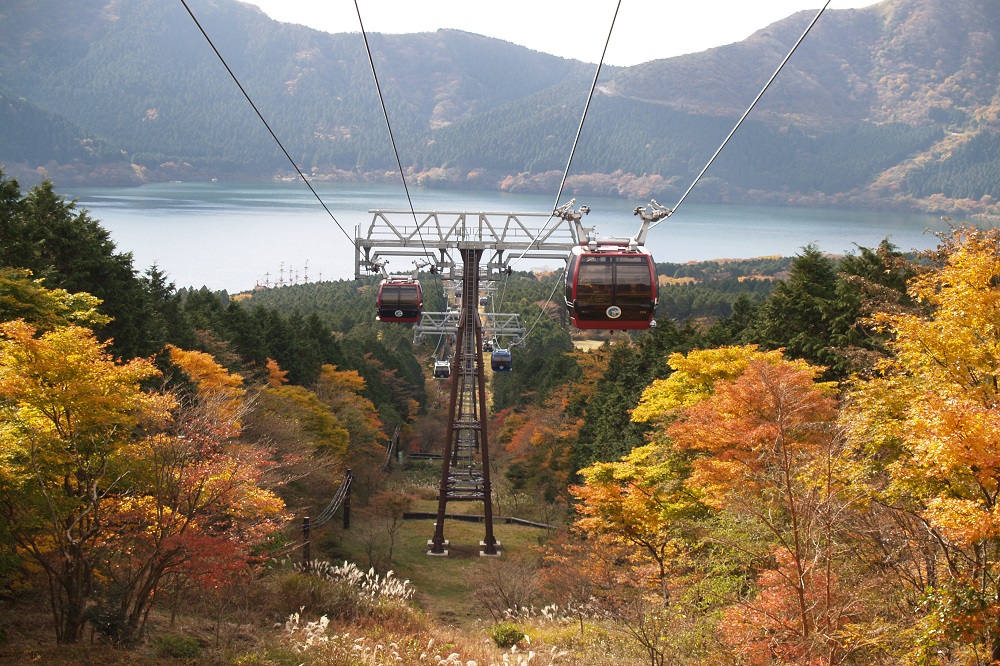 紅葉の見頃はいつ？箱根の紅葉スポットとモデルコースを紹介｜小田急