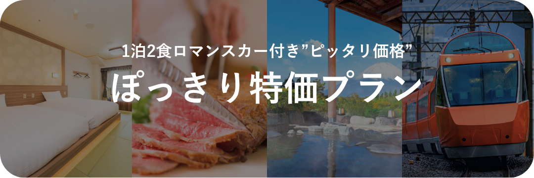 ぽっきり特価プラン｜お得なプランから探す｜小田急トラベル