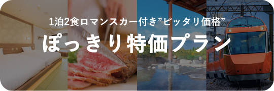 Topix｜ぽっきり特価プラン｜小田急トラベル