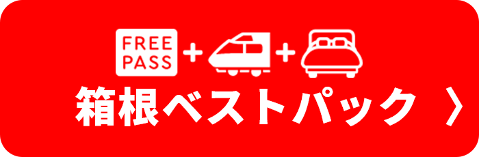  箱根ベストパック（ロマンスカー+フリーパス）