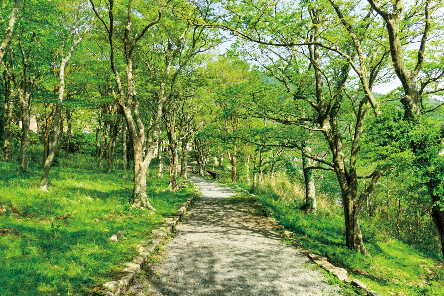 湖畔ふれあい園地