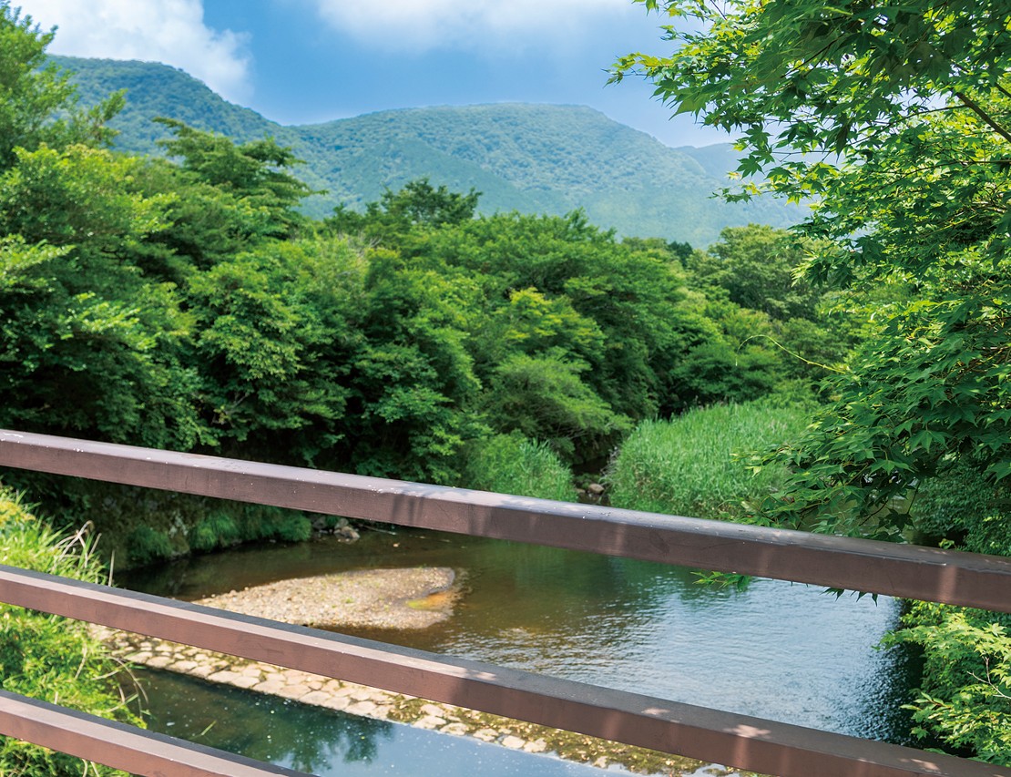 橋上からの眺め