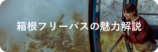 箱根フリーパスの魅力解説|旅行・観光情報|小田急トラベル