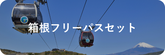 箱根フリーパスセット|お得なプランから探す|小田急トラベル